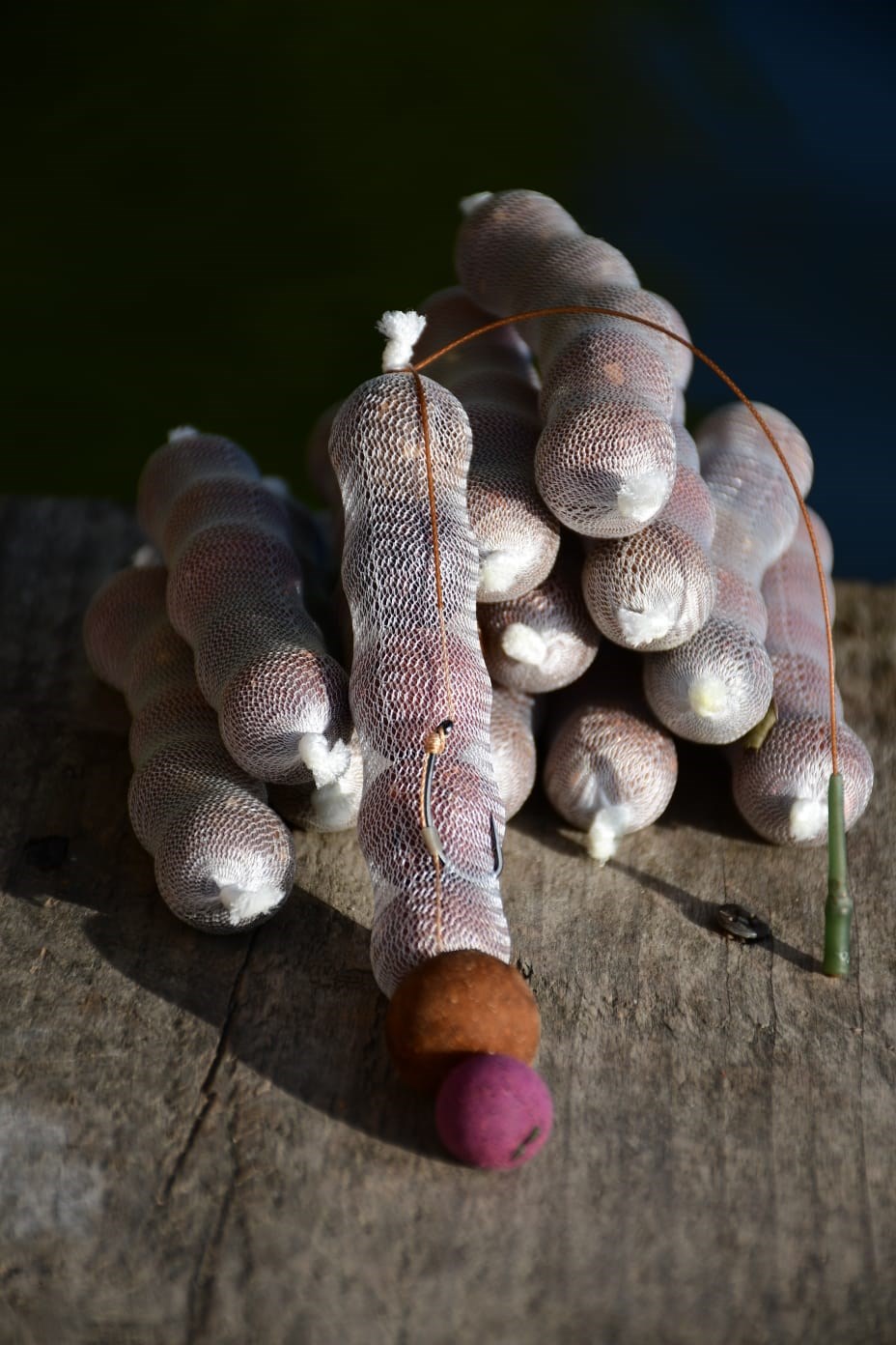 Tancabesti 17 - 20 sept. - 5A378515851F40498230871941B05374.jpg